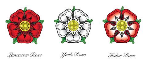 rosas tudor|tudor rose symbol meaning.